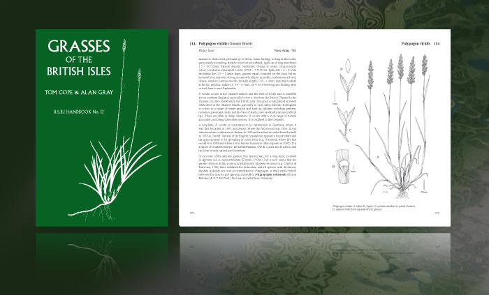 Grasses Handbook